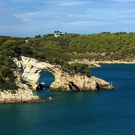 Apartment Centro - Dizzy